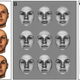 In the first experiment (A), the fish were shown colorful pictures of human faces, and in the second experiment (B), the faces had certain features removed. (Image: C. Newport et al., 2016)
